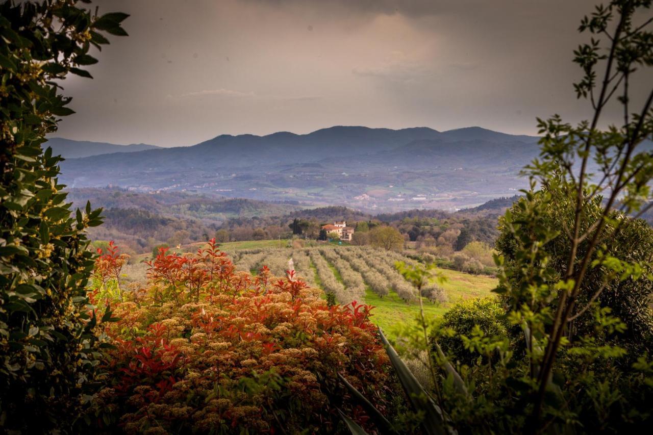 Bed and Breakfast I Trebbiali Reggello Exterior foto