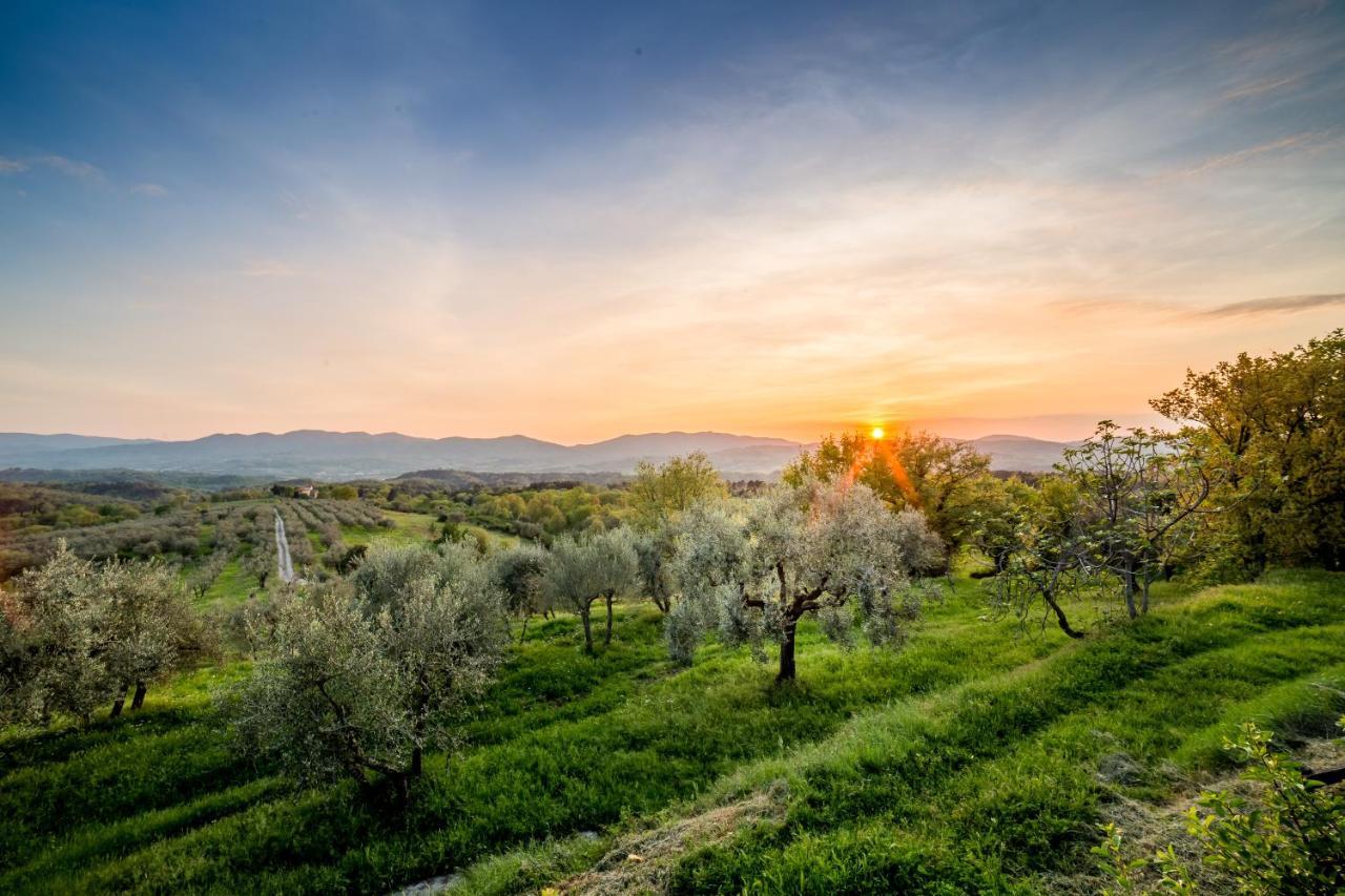 Bed and Breakfast I Trebbiali Reggello Exterior foto
